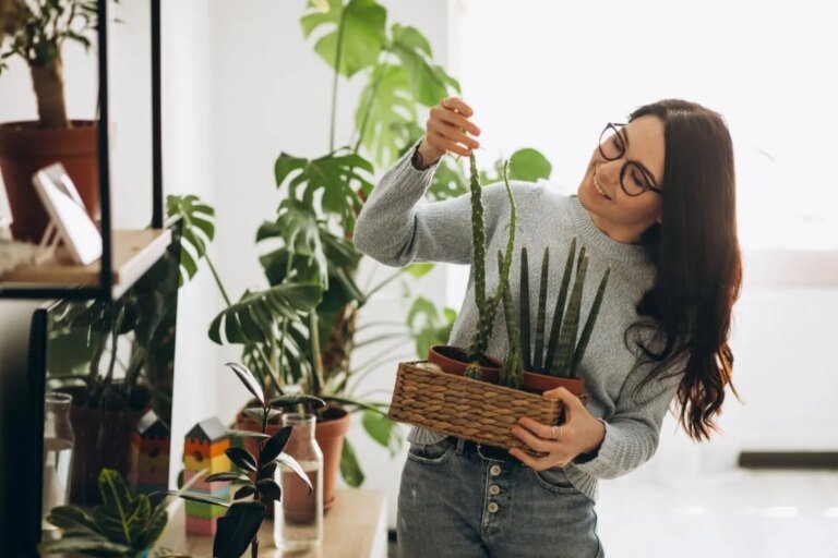 Cuidados com plantas no outono: 5 dicas que fazem a diferença