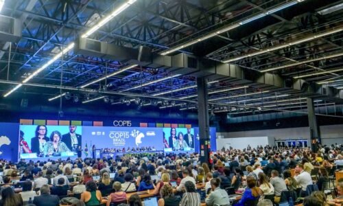 Diversidade marca cerimônia de abertura da COP15 em Campo Grande