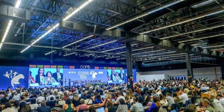 Diversidade marca cerimônia de abertura da COP15 em Campo Grande