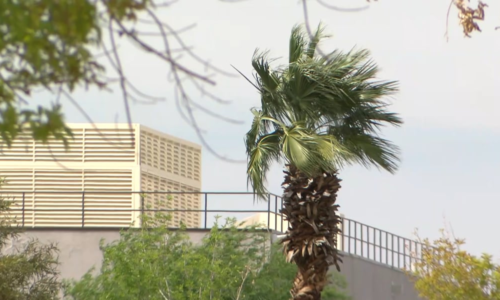 Dust advisory issued for Clark County as strong winds move in