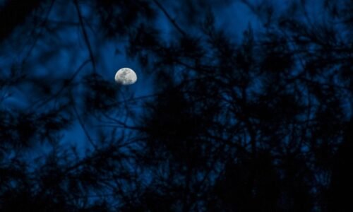 Fase da Lua hoje: 27/03/2026