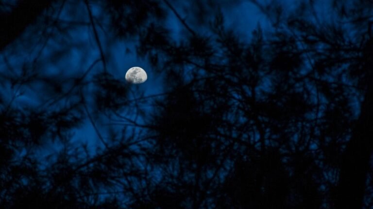 Fase da Lua hoje: 27/03/2026