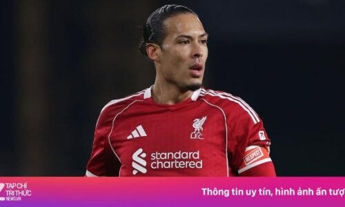 Vietnam.vn - Nền tảng quảng bá Việt Nam