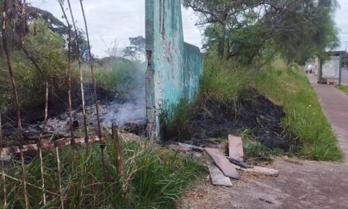 Incêndio em vegetação mobiliza Corpo de Bombeiros no bairro Cataratas, em Cascavel