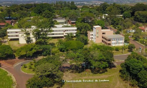 Iniciativa no Paraná quer proibir cotas em universidades