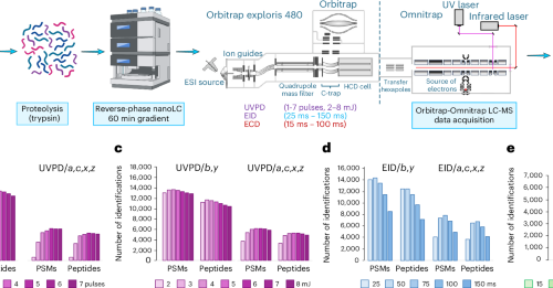Integration of alternative fragmentation techniques into standard LC-MS workflows using a single deep learning model enhances proteome coverage