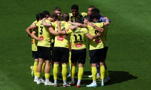 Isuzu UTE A-League Round 20 Match Preview