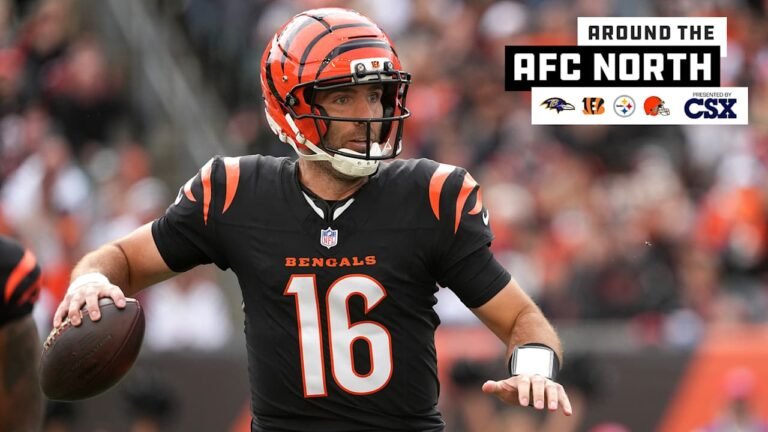 Joe Flacco’s Future Remains Uncertain After Bengals Sign Josh Johnson
