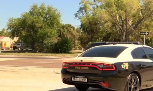 Motorcyclist killed in Nokomis crash on US-41