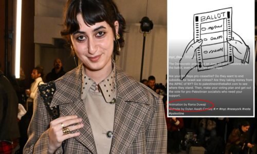 NYC first lady Rama Duwaji created artwork for DSA's anti-Israel campaign