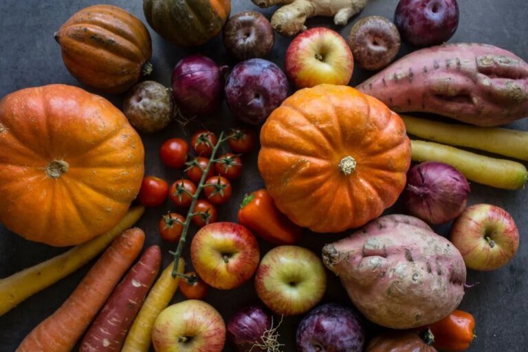 Outono à mesa: 6 legumes típicos da estação para proteger a saúde