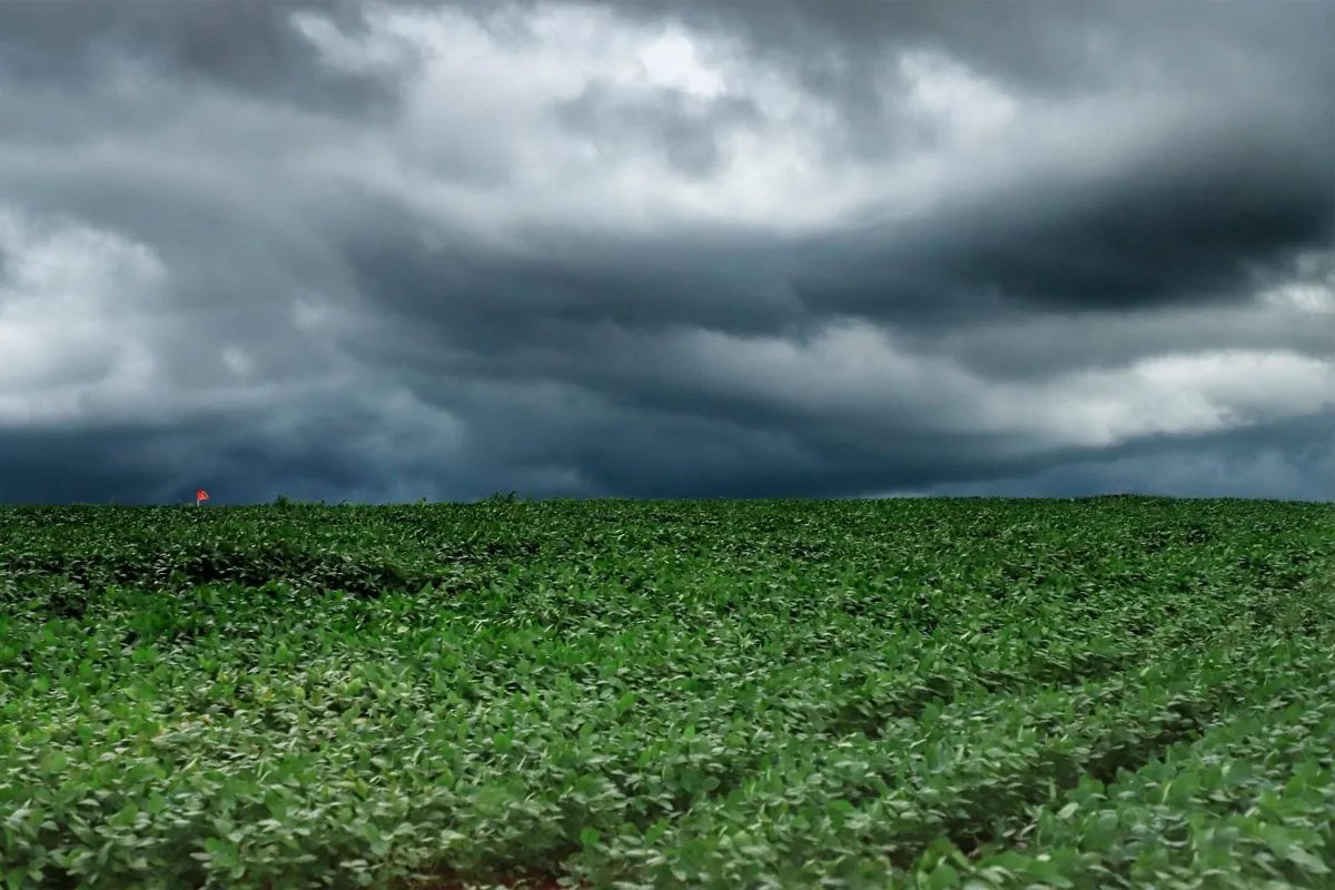 Paraná pode sentir efeitos do El Niño a partir de julho