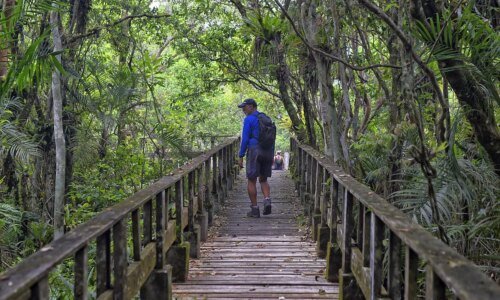Parque Rio da Onça é refúgio da Mata Atlântica entre praias do Paraná