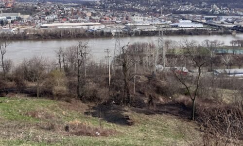 Pittsburgh weather: Wind advisory in effect after power line causes brush fire in Reserve
