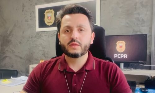 Polícia Civil conclui investigação sobre gata ferida por disparo de arma de pressão em Toledo