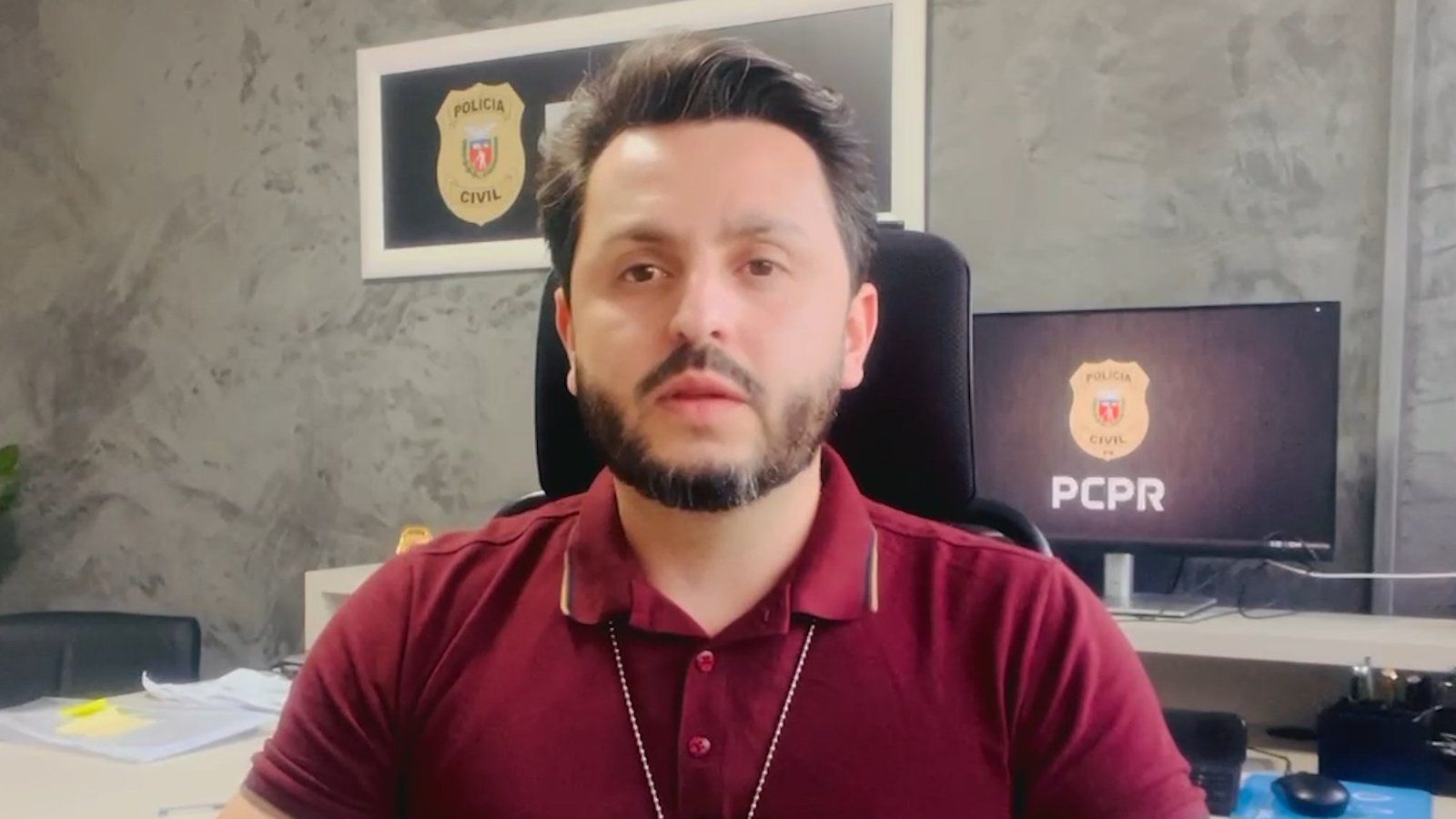 Polícia Civil conclui investigação sobre gata ferida por disparo de arma de pressão em Toledo