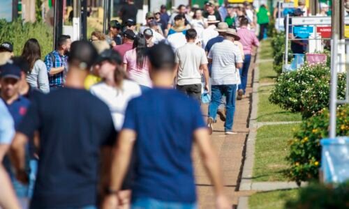 Saiba o que será destaque na programação do primeiro dia de Expodireto Cotrijal