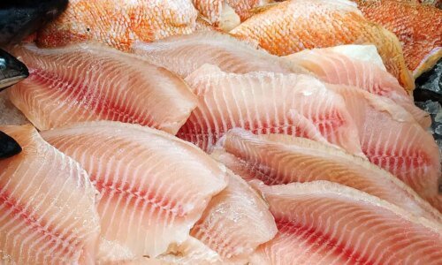 Semana Santa com promoção de peixes nos Armazéns da Família de Curitiba