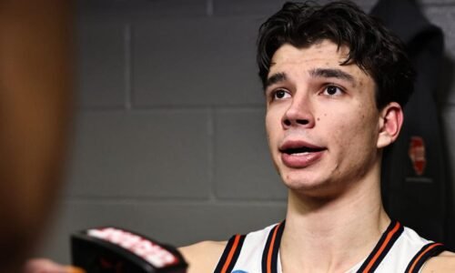 Stojakovic getting the full experience he wanted at Illinois | Sports