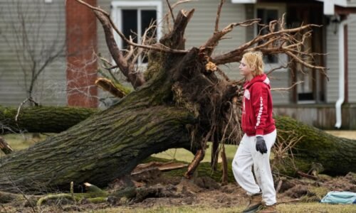 Suspected tornadoes kill 6 in Michigan, Oklahoma : NPR