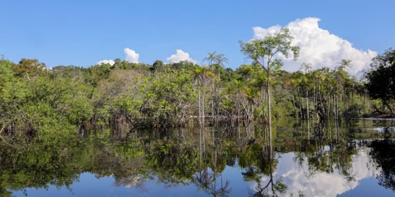 Tesouro muda regras de leilão para projetos sustentáveis