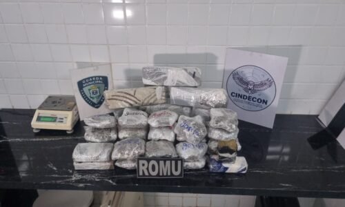 Trio é detido com mais de 15 kg de maconha na rodoviária de Cascavel