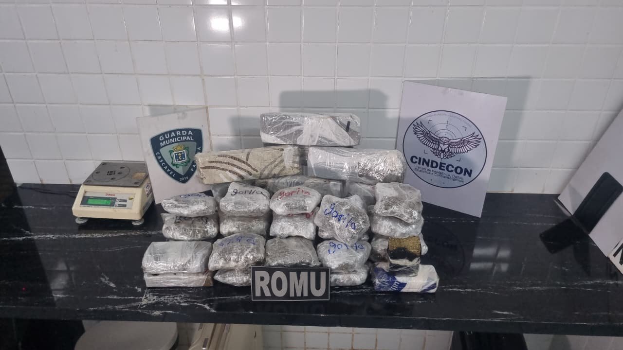 Trio é detido com mais de 15 kg de maconha na rodoviária de Cascavel