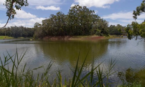 Wahiawa Dam possible failure prompts evacuation warning