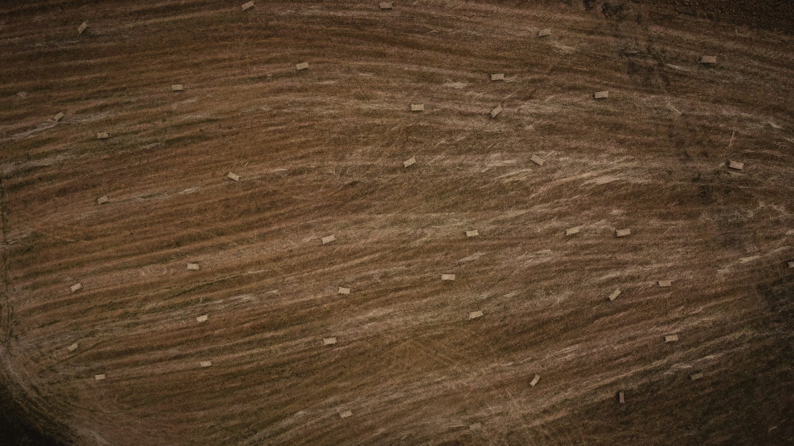 a close up of a brown hair texture