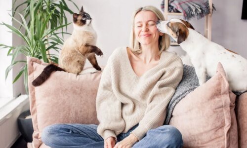 5 dicas para fortalecer o vínculo com o pet e reduzir o estresse
