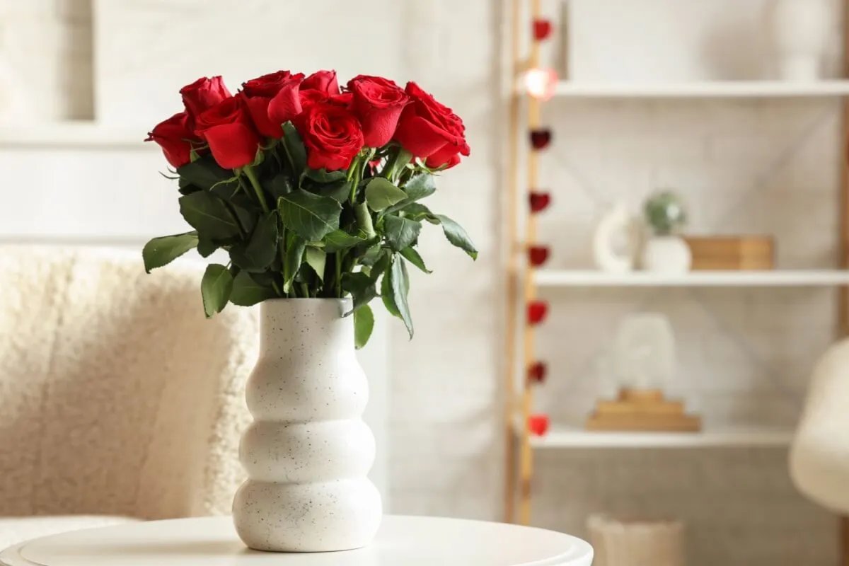 5 plantas para atrair mais amor para a sua vida