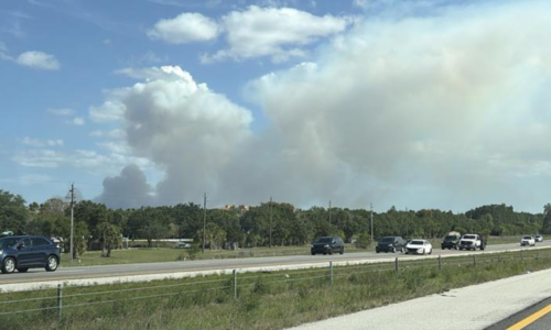 550-acre brush fire reported in Picayune Strand State Forest, 15% containment | Collier County