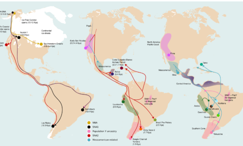 A New Big Database of DNA From Indigenous Americans Shakes Up Scientists' Theories About Human Settlement of South America