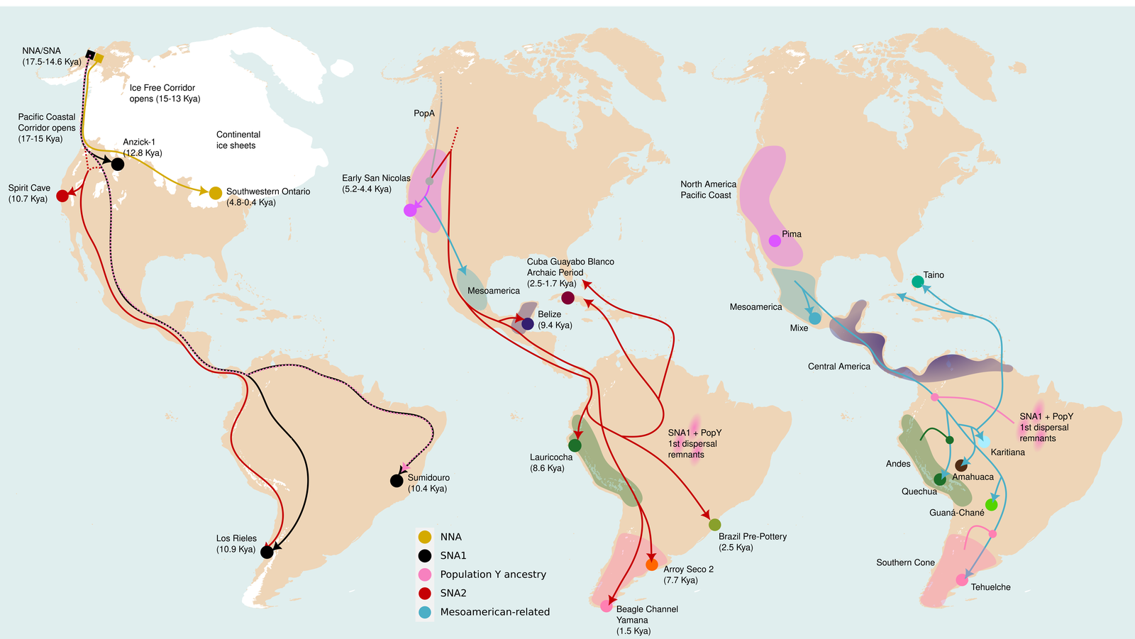 A New Big Database of DNA From Indigenous Americans Shakes Up Scientists' Theories About Human Settlement of South America