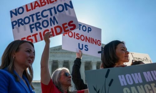A Supreme Court case over pesticides is bringing out the ‘MAHA moms’ — and threats of consequences for the midterms