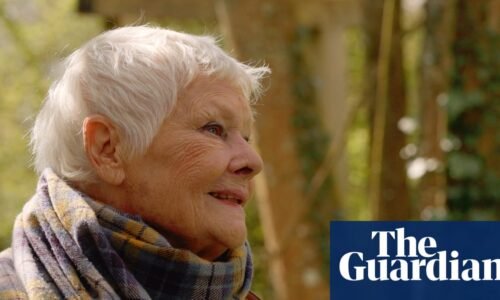 A statue of Queen Victoria, memorial trees and a swimming pool: Judi Dench’s garden – in eight poignant items | Judi Dench
