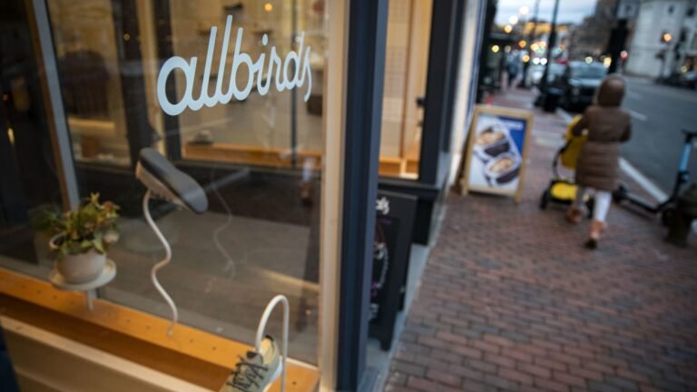 Allbirds pivots from shoes to AI, stock explodes more than 200%