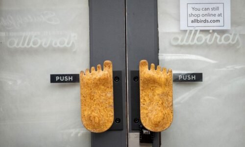 Allbirds stock gains 350% this week as shoemaker pivots to AI