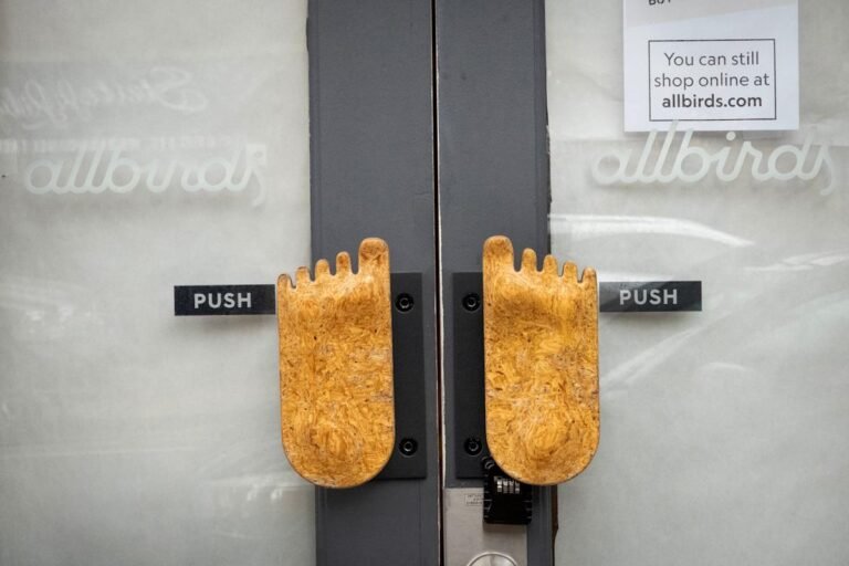 Allbirds stock gains 350% this week as shoemaker pivots to AI