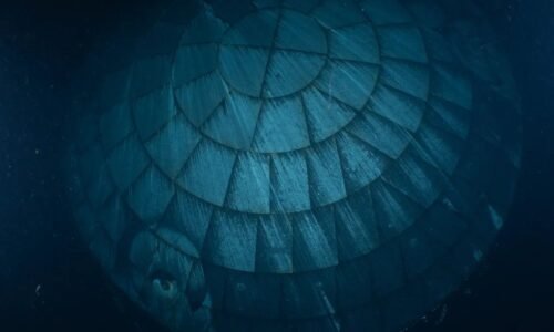 A view of the Artemis 2 Orion heat shield underwater. The heat shield appears as different shades of dark blue.