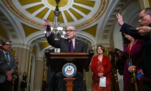 As DHS shutdown lags, Senate greenlights $70B for ICE, Border Patrol