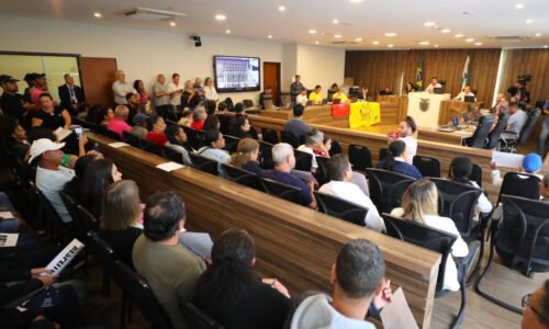 Assembleia Legislativa do Paraná | ALEP | Notícias > Audiência Pública articula grupo de trabalho para enfrentar despejos de moradores que vivem próximos às linhas de transmissão da Copel