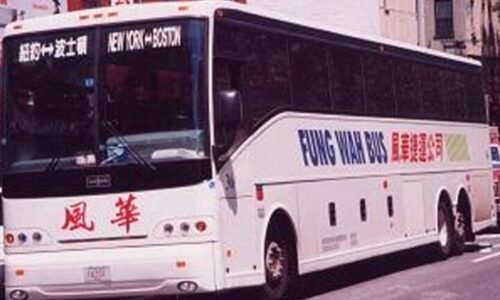 Ayo Edebiri drops a nostalgic Fung Wah bus reference on 'Today'
