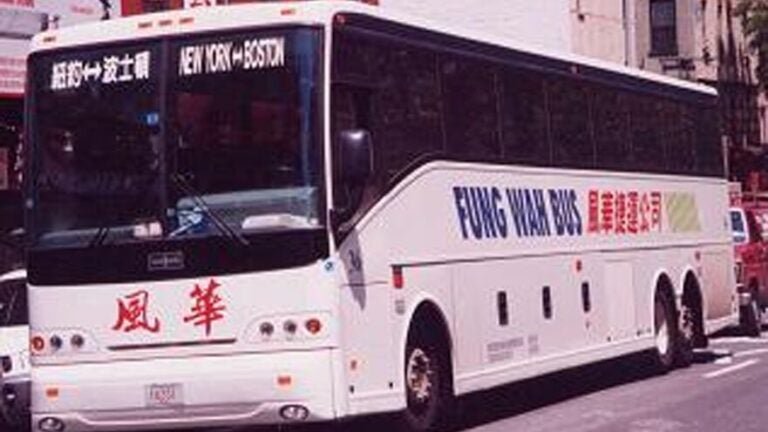 Ayo Edebiri drops a nostalgic Fung Wah bus reference on 'Today'