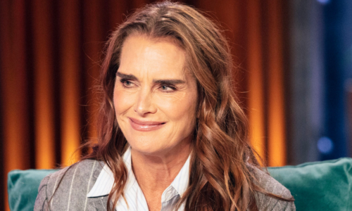 Brooke Shields' Fans "Can't Wait" After She Shares Major Career News