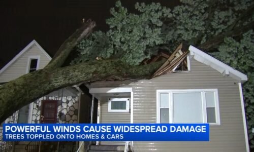 Chicago weather today: Strong storms bring wind damage, cause power outages, O'Hare ground stop and flight delays