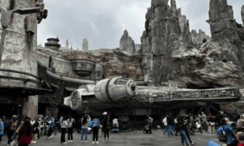 Crowds gather around the Millennium Falcon at Star Wars: Galaxy's Edge