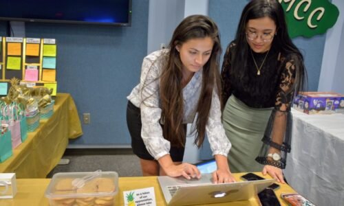 Donʻt get hooked: UH Maui College presents real-life phishing stories : Maui Now