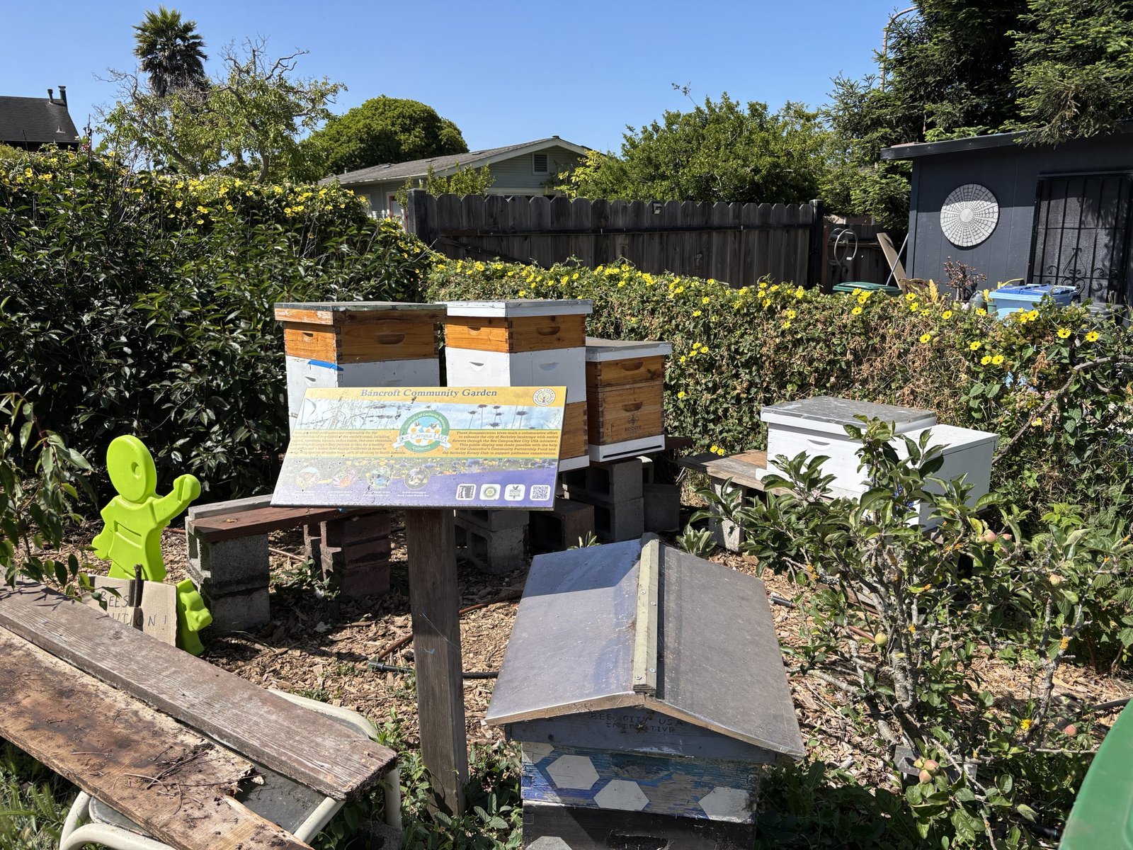 Earth Day celebrations, beehive tour, drive robots