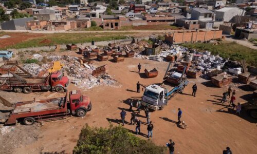 Empresário é multado por crimes ambientais em Curitiba